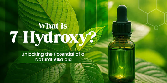 What is 7-Hydroxy? Unlocking the Potential of a Natural Alkaloid