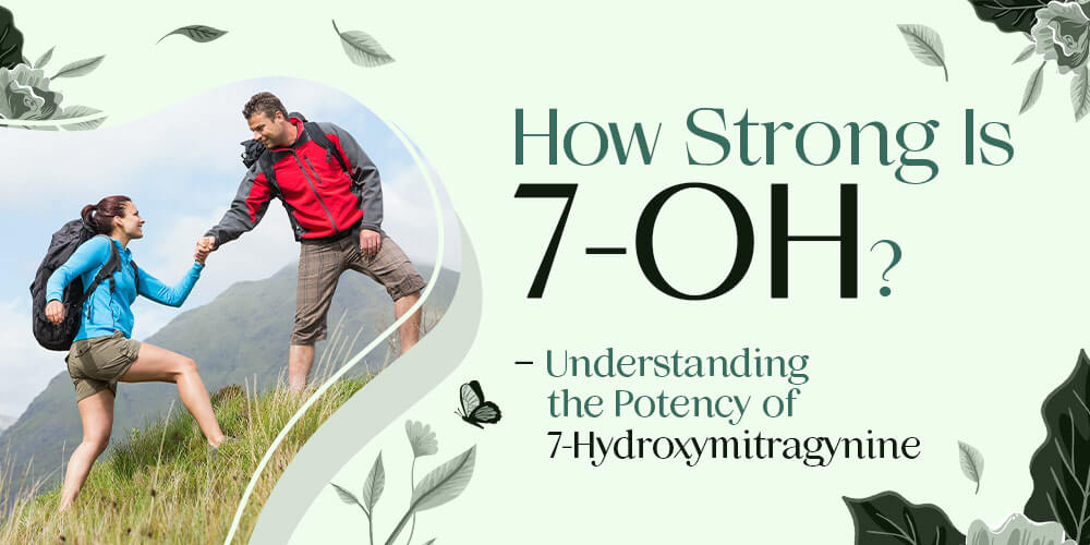 How Strong Is 7-OH: Understanding the Potency of 7-Hydroxymitragynine