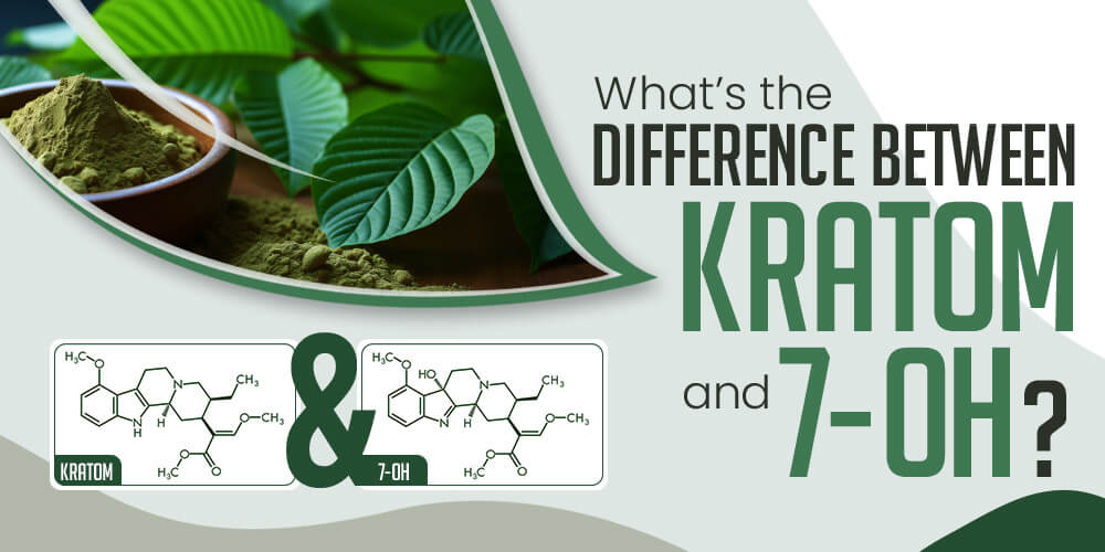 What’s the Difference Between Kratom and 7-OH